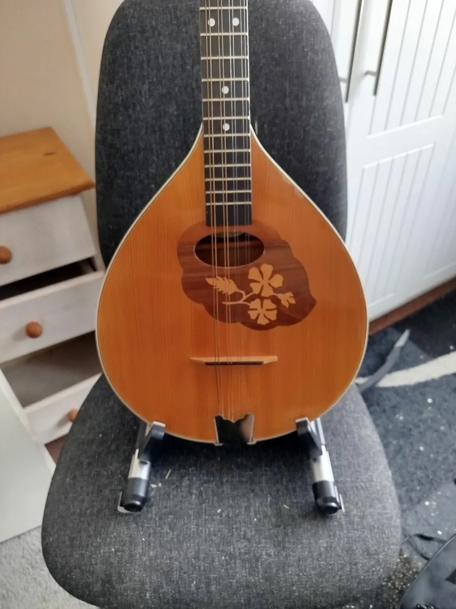 Irish Bouzouki Flat Back - Image 2