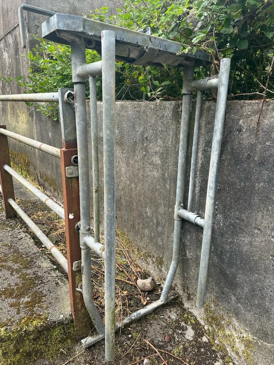 Cattle crush gate - Image 1