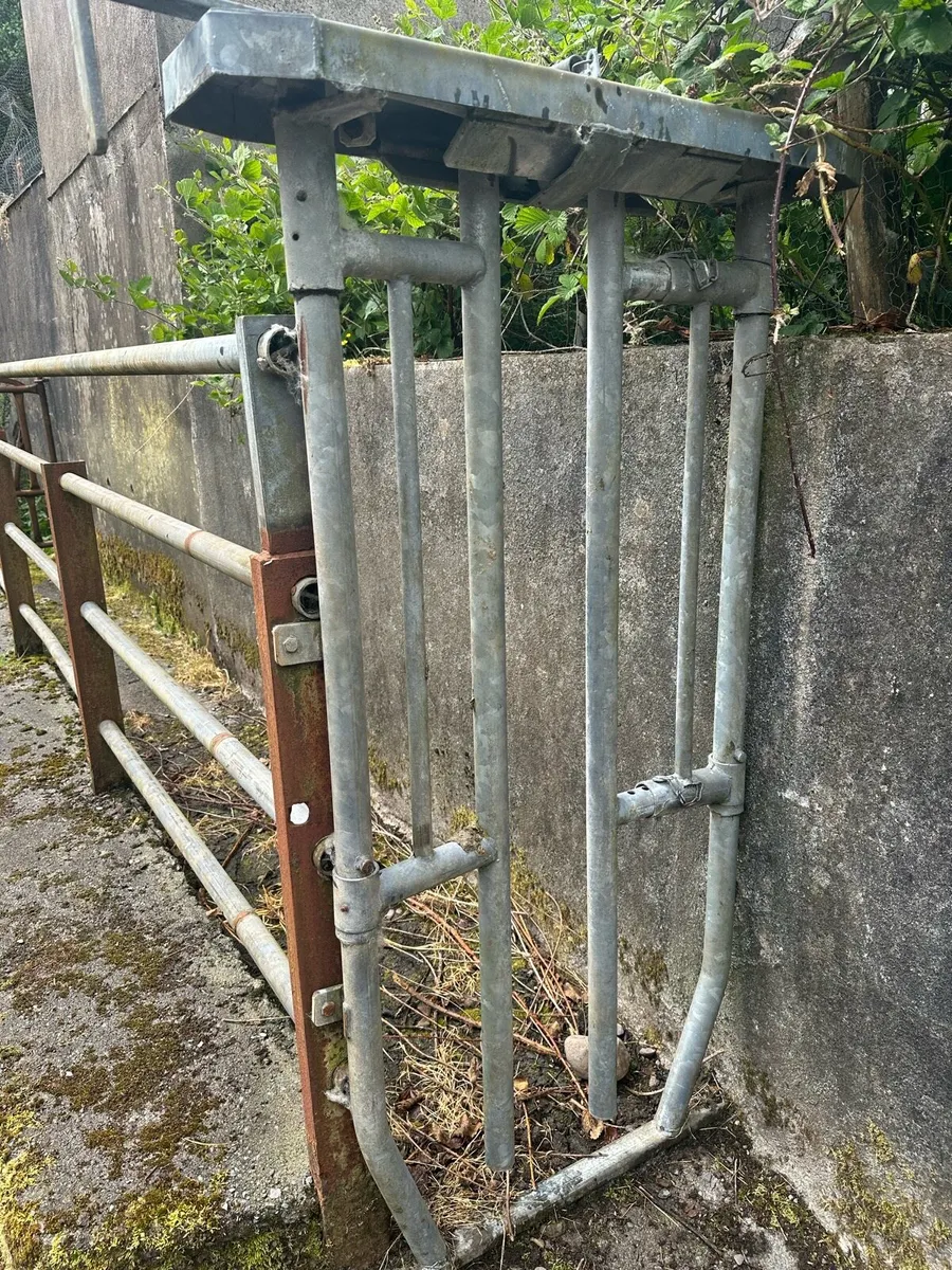 Cattle crush gate - Image 2
