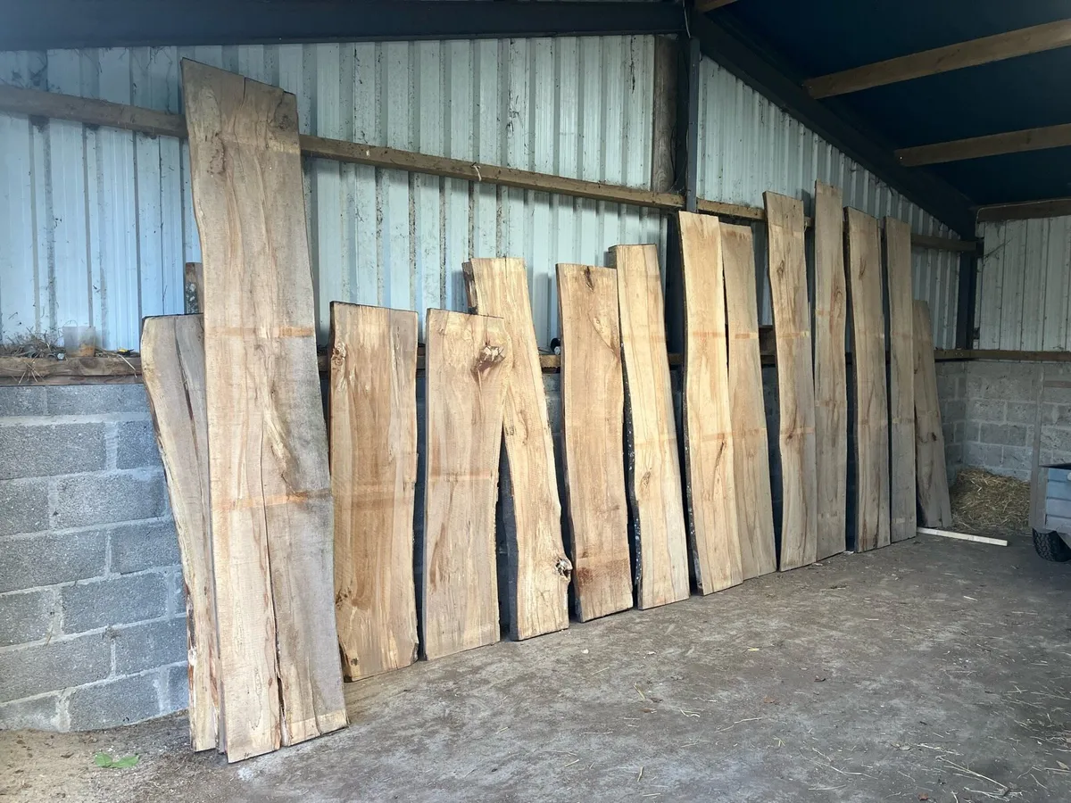 Solid Beech Timber Slabs - Image 1