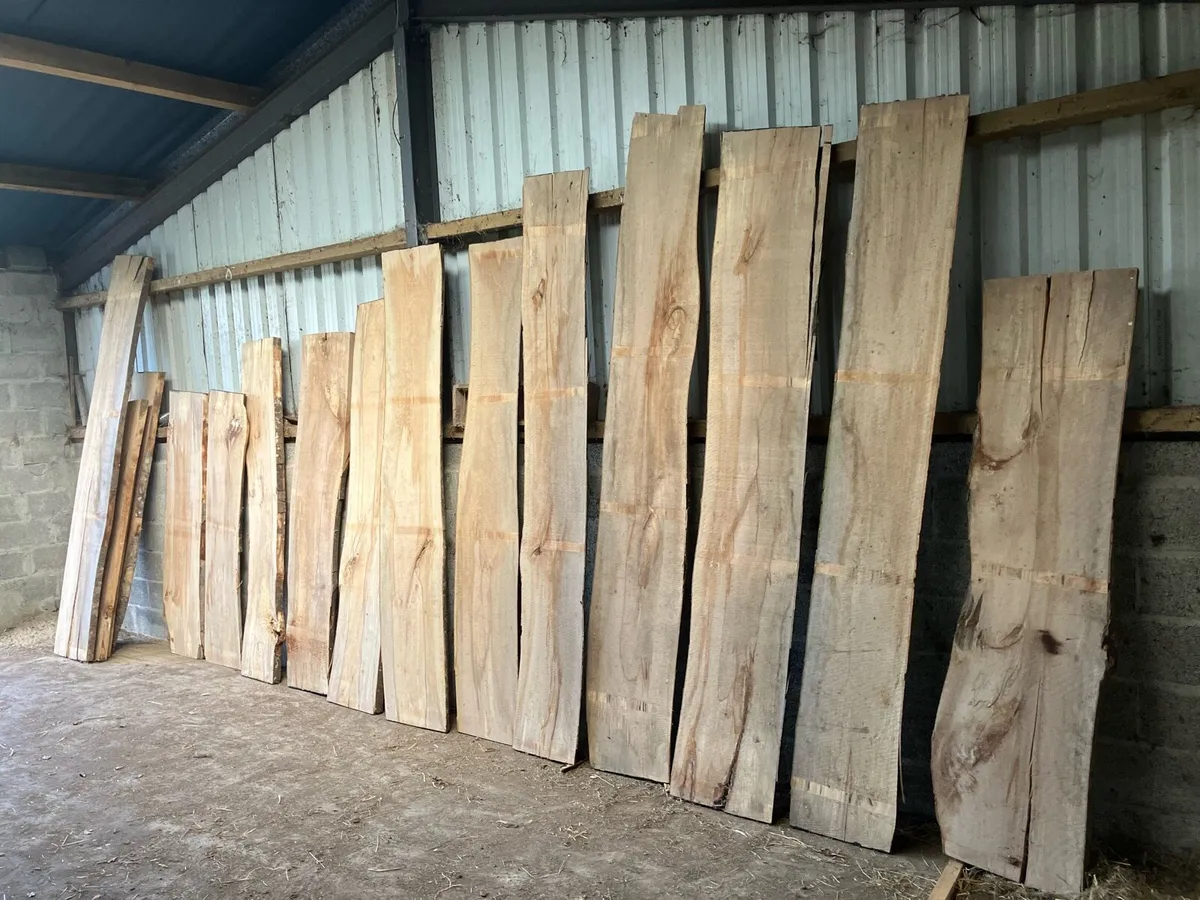 Solid Beech Timber Slabs - Image 2