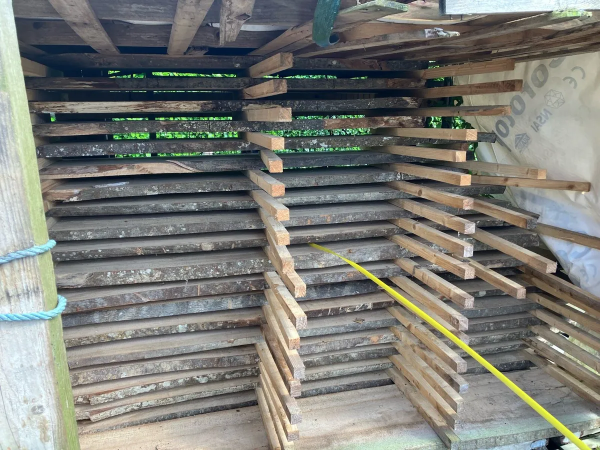Solid Beech Timber Slabs - Image 3