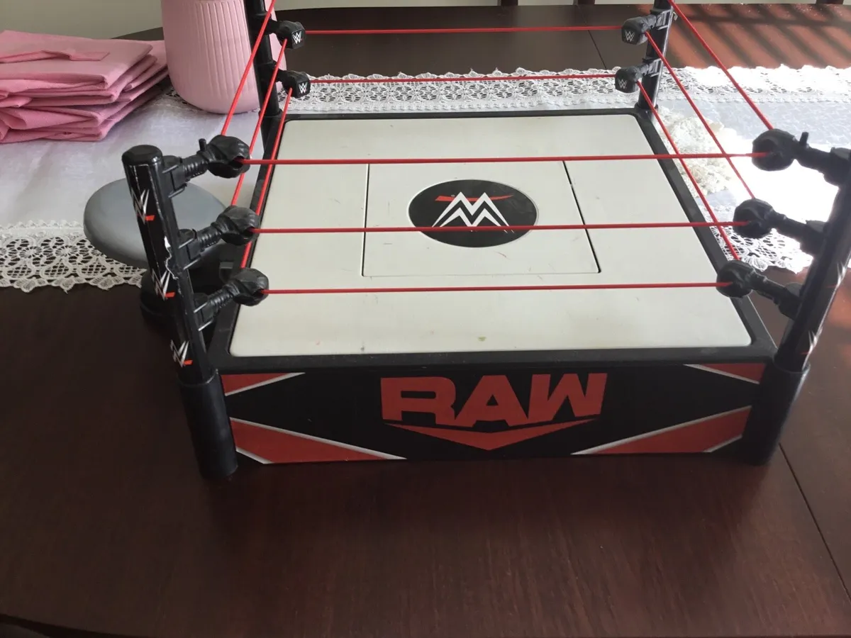 Wrestling ring( talking) - Image 2