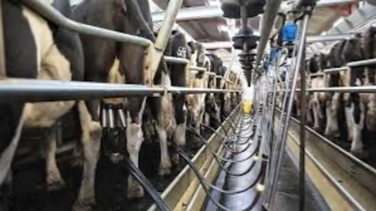 Relief milker available