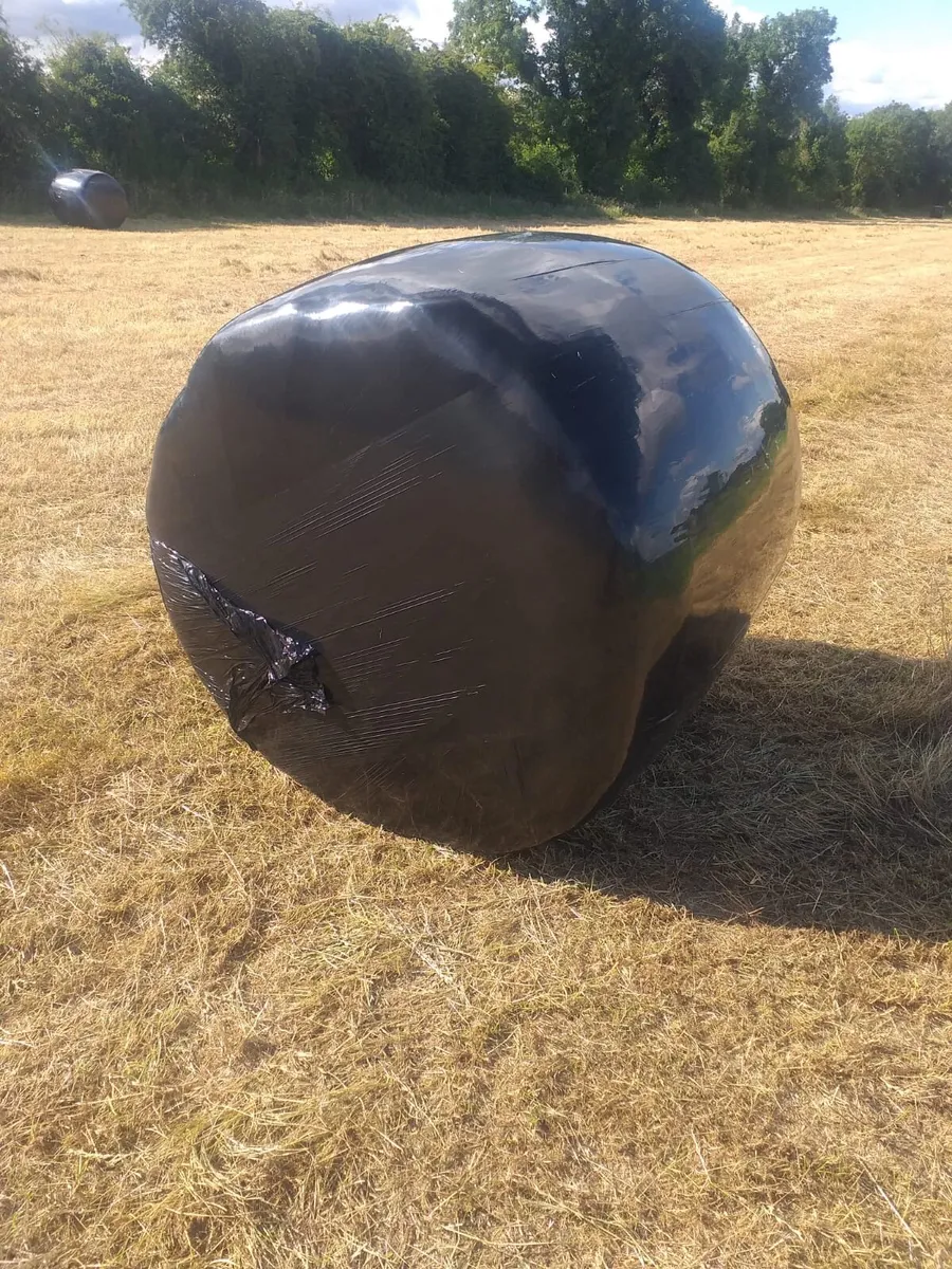 Haylage - Image 3