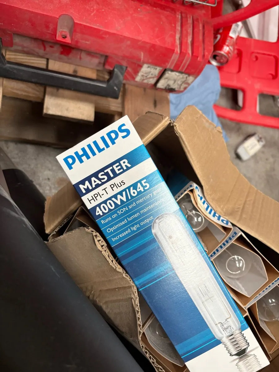 Flood light bulbs - Image 1
