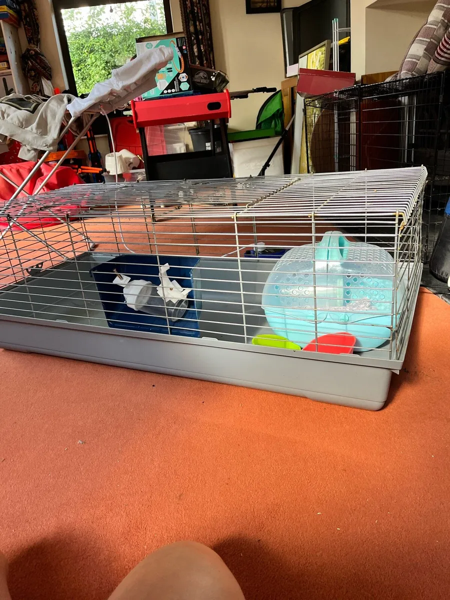 Guinea pig cage with carrier - Image 2