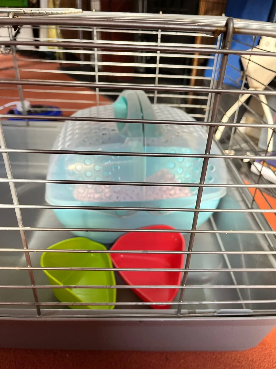 Guinea pig cage with carrier - Image 3