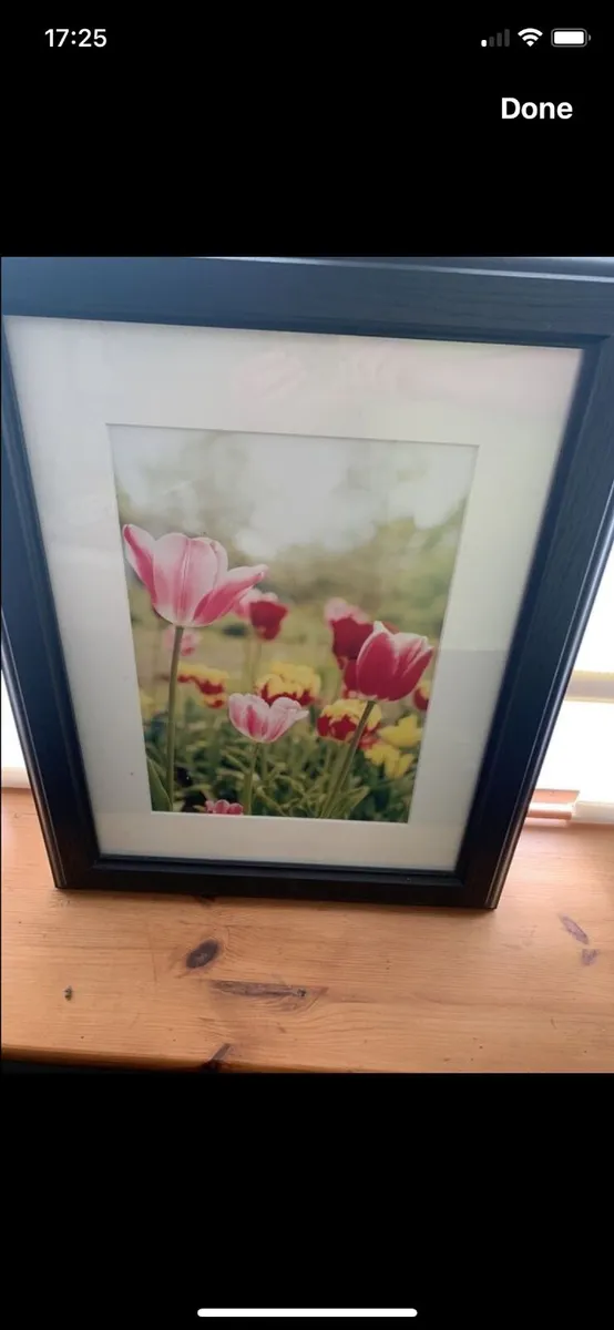 Flower picture - Image 1