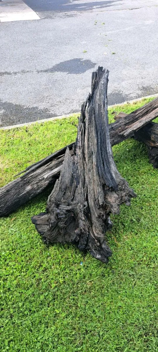 Bog Oak 3 piece lot - Image 1