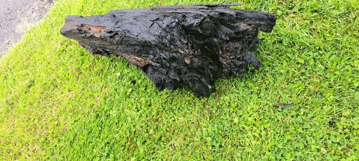 Bog Oak 3 piece lot - Image 2