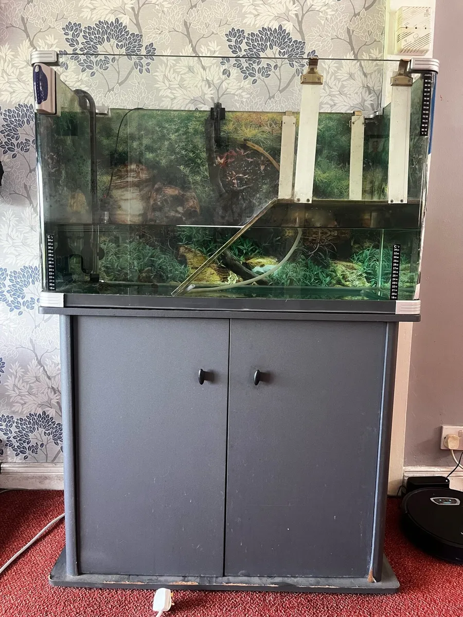 200 liter aquarium - Image 1