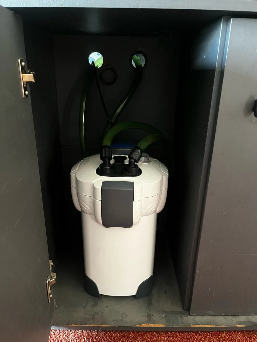 200 liter aquarium - Image 2