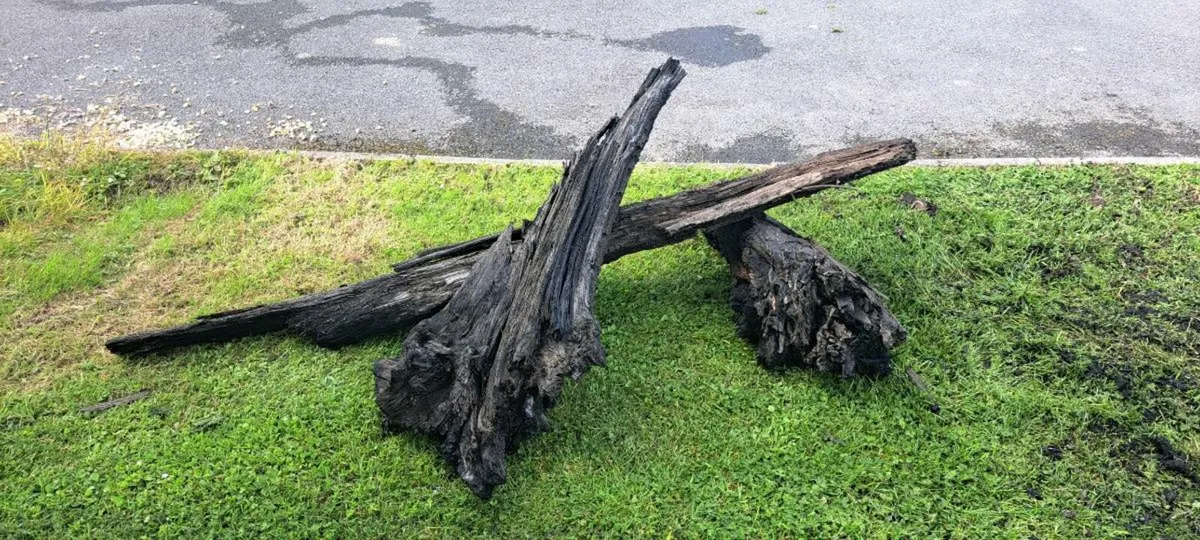 Bog Oak 3 piece lot - Image 4