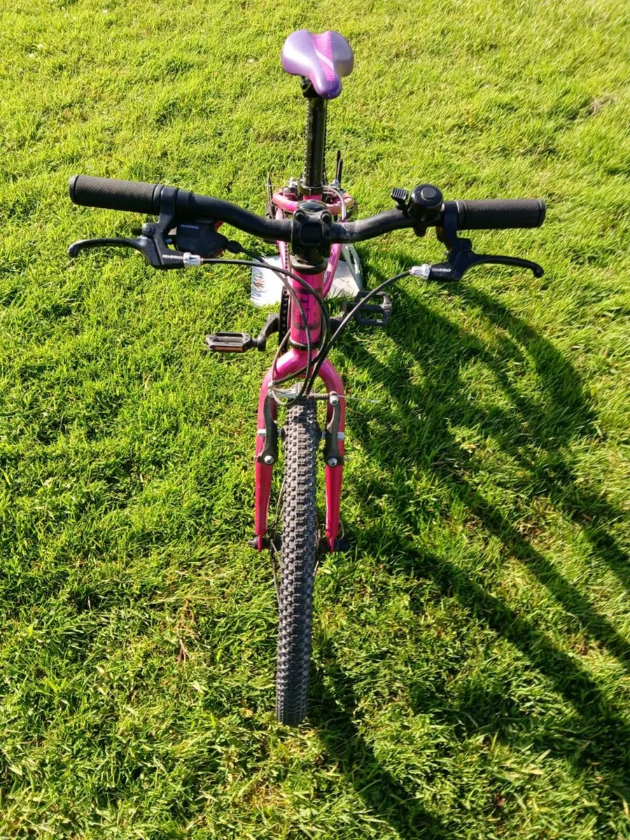 Kidsbike - Image 3