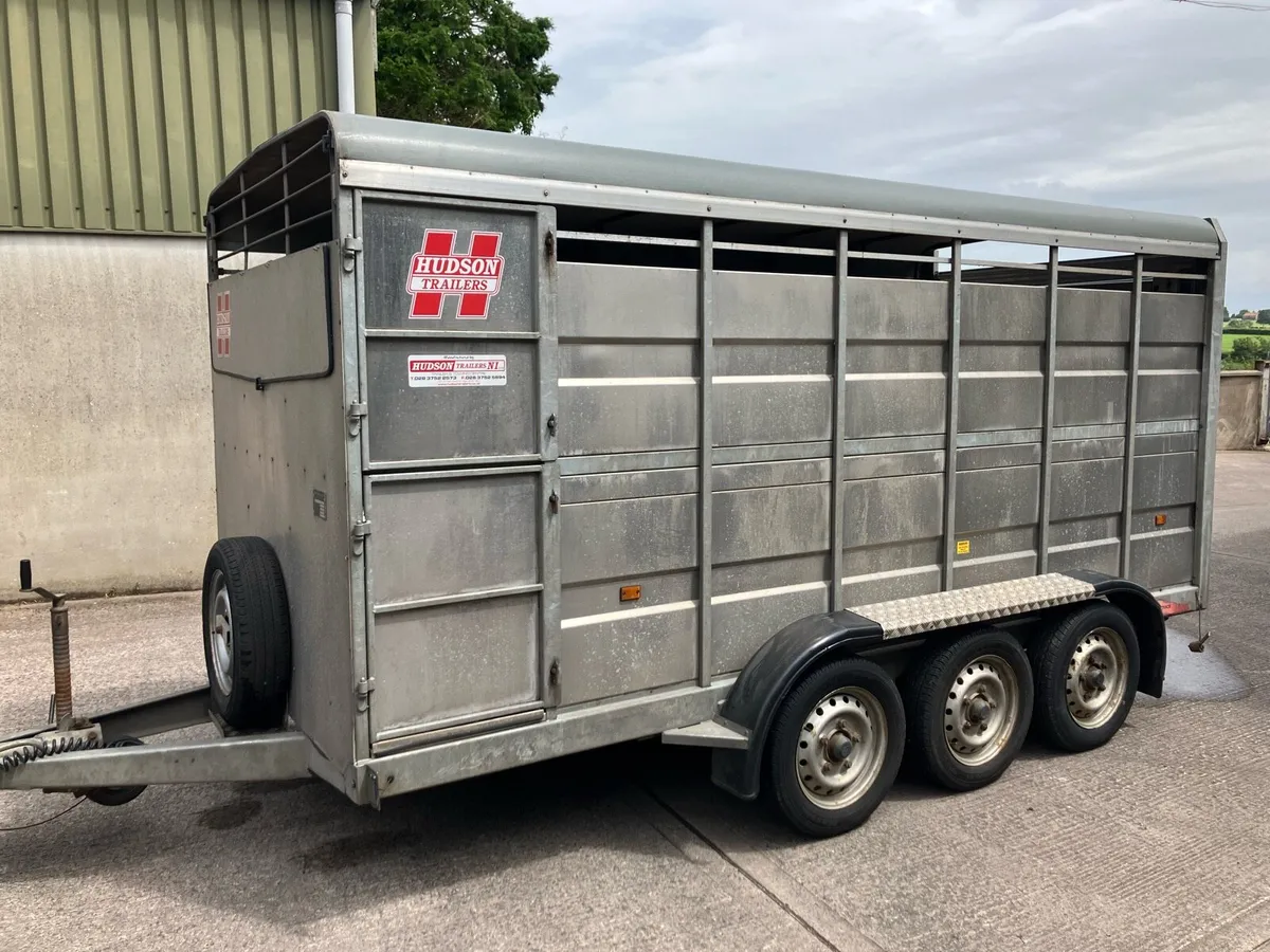 Hudson 14 x 6 Tri axle livestock trailer - Image 1
