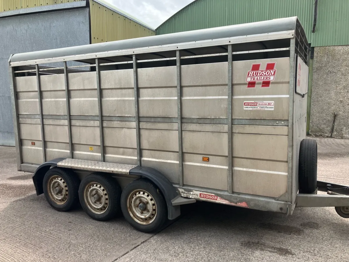 Hudson 14 x 6 Tri axle livestock trailer - Image 2