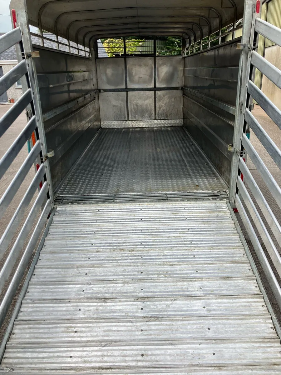 Hudson 14 x 6 Tri axle livestock trailer - Image 4