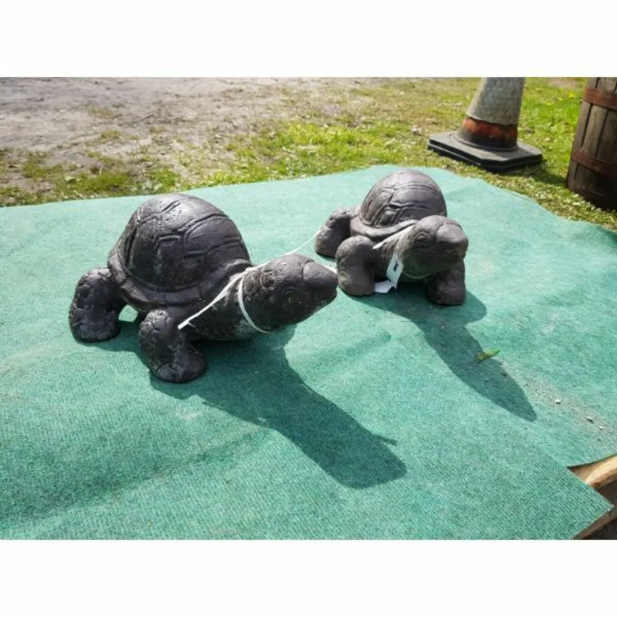 Turtle Dark Small GA58