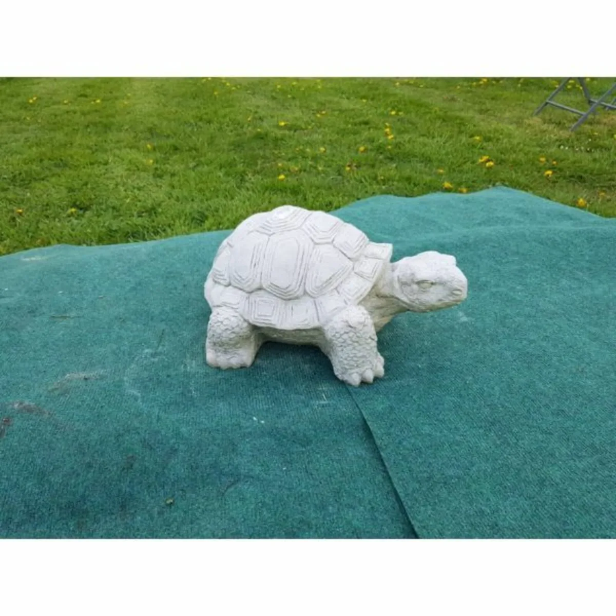 Turtle-GL-SA023