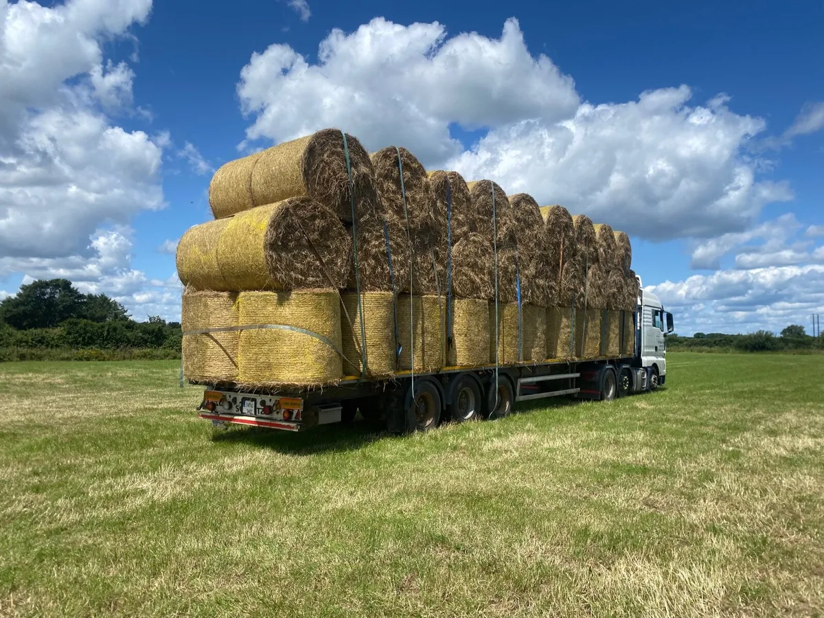 Hay - Image 1