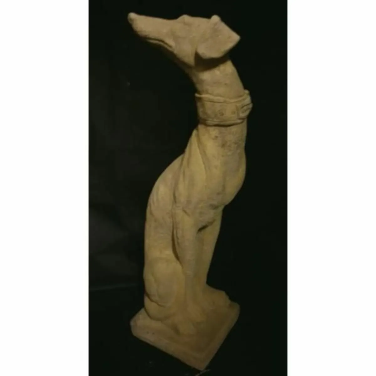 Whippet EG019