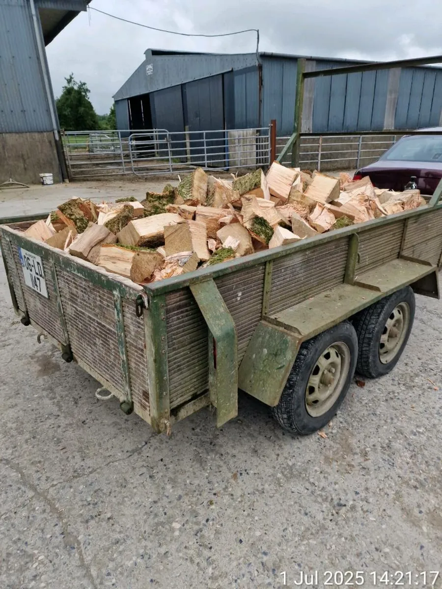 Firewood
