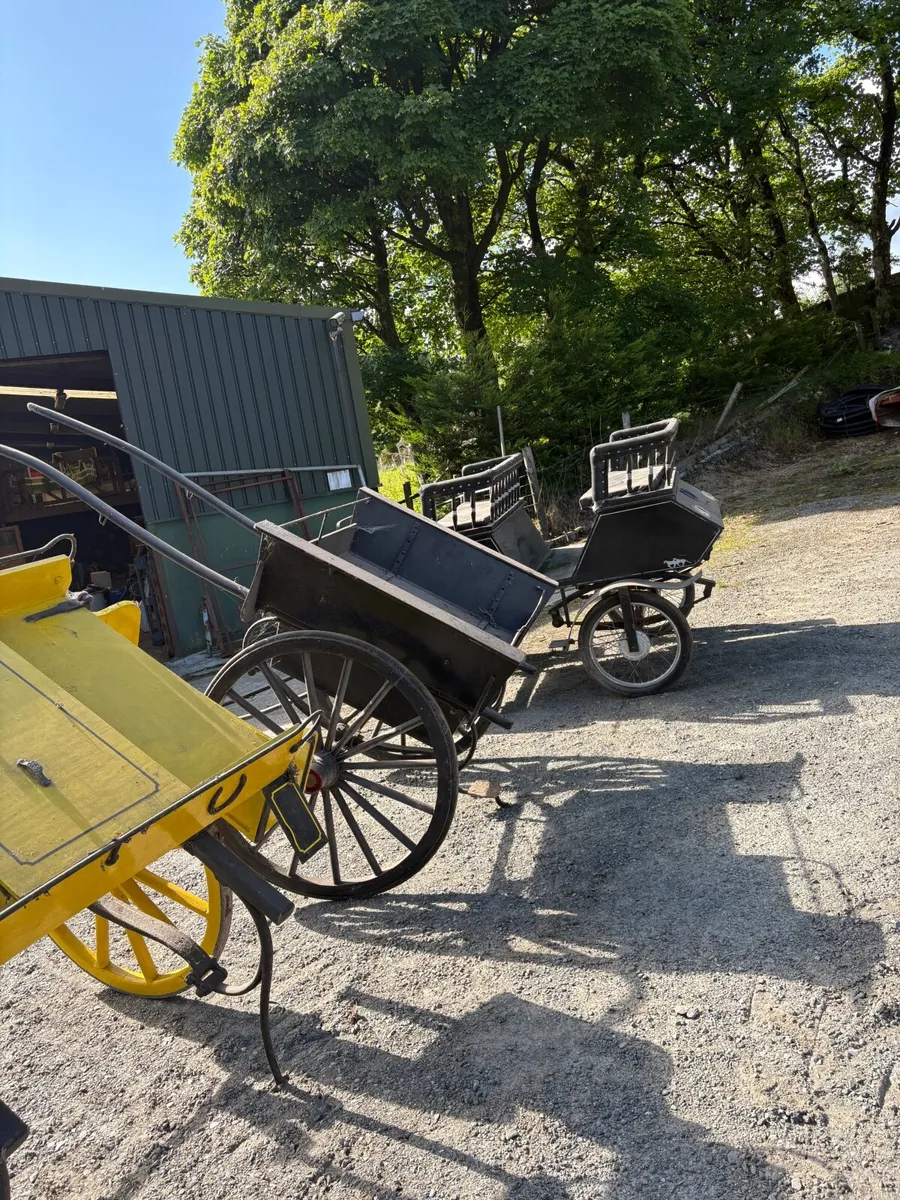 Horse/Pony     Carts/Traps - Image 3