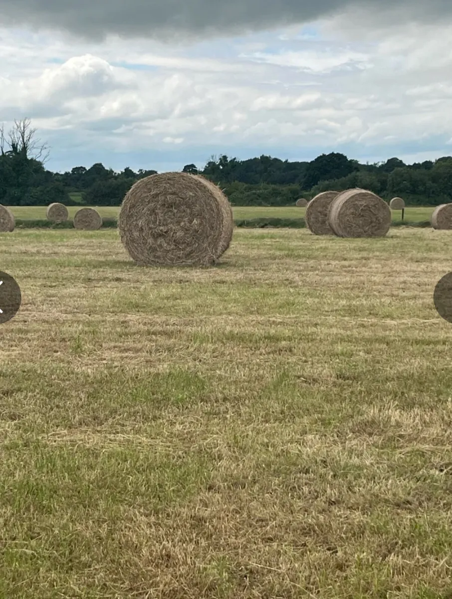 Hay for sale