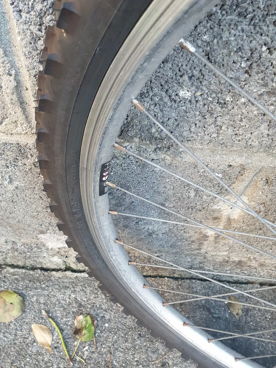 Adult bike - Image 3