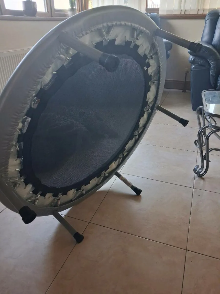 Rebounder - Image 2