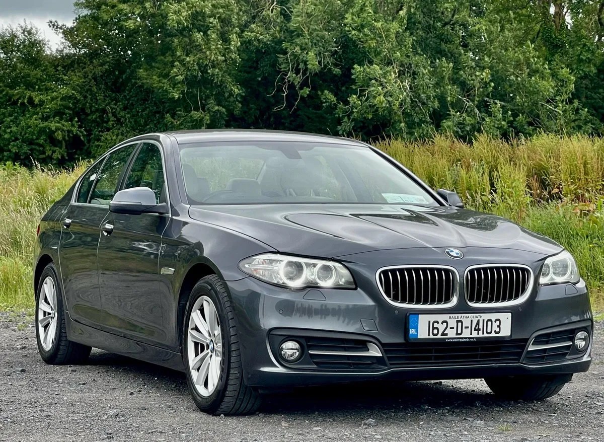 2016 BMW 520d SE Auto - Image 2