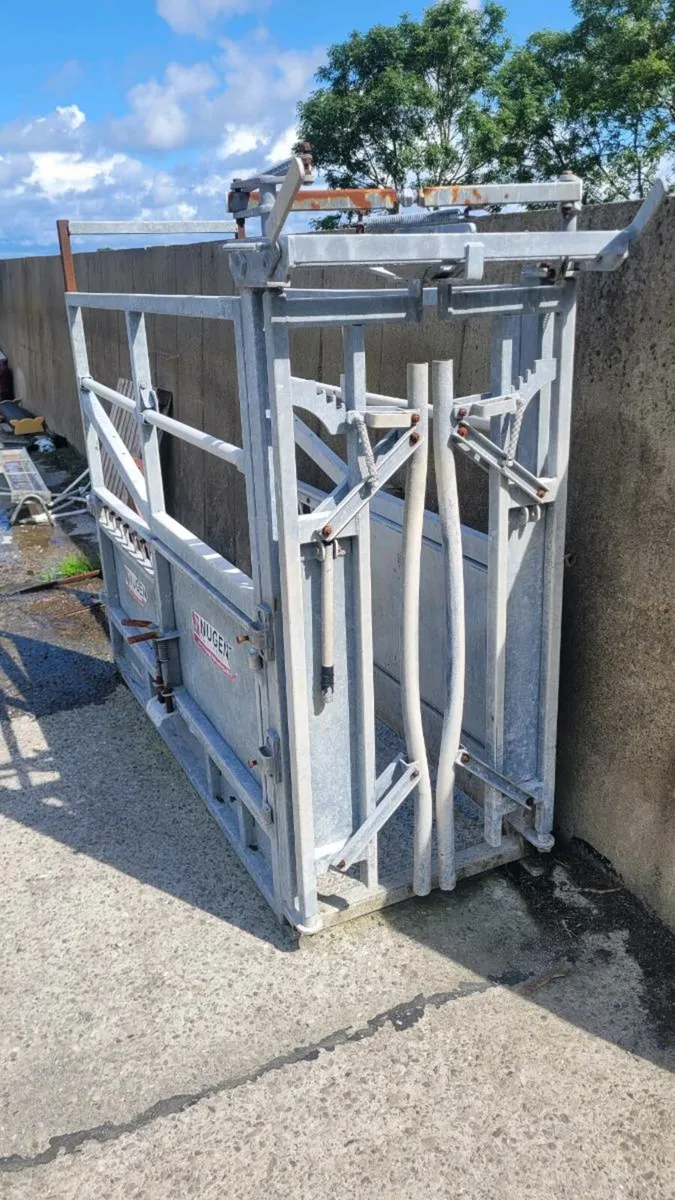 Nugent Mobile Cattle Crush - Image 3