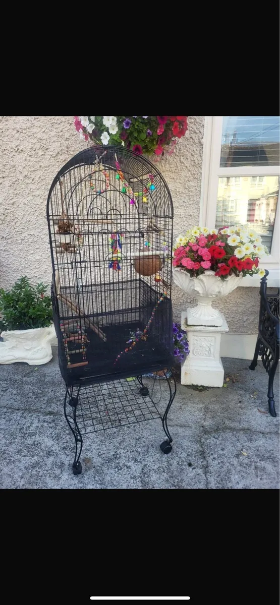 Bird cages - Image 1