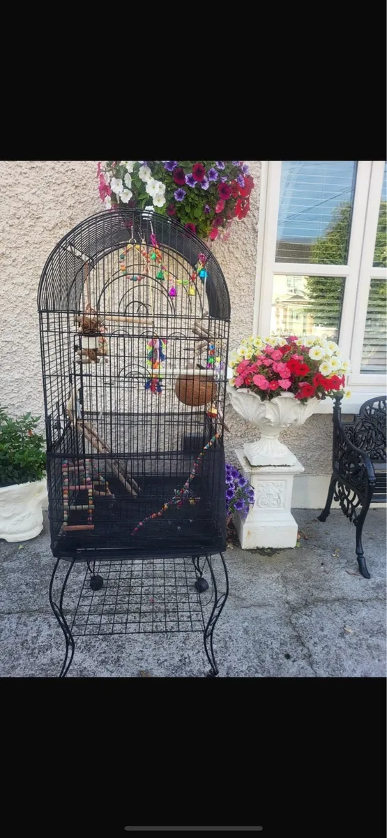 Bird cages - Image 2