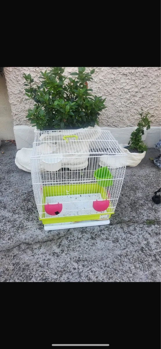 Bird cages - Image 3