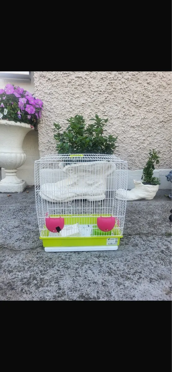 Bird cages - Image 4