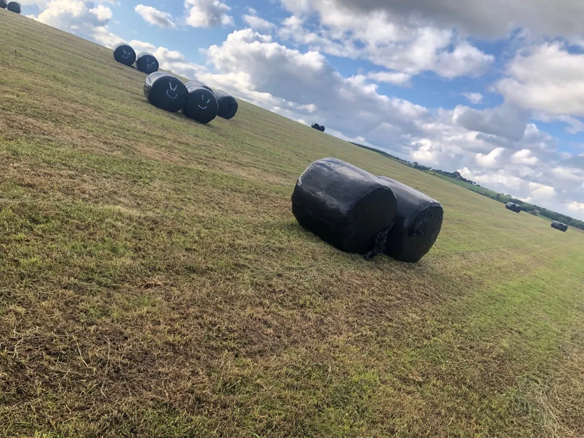 75 Silage bales (baled 2nd July) - Image 1