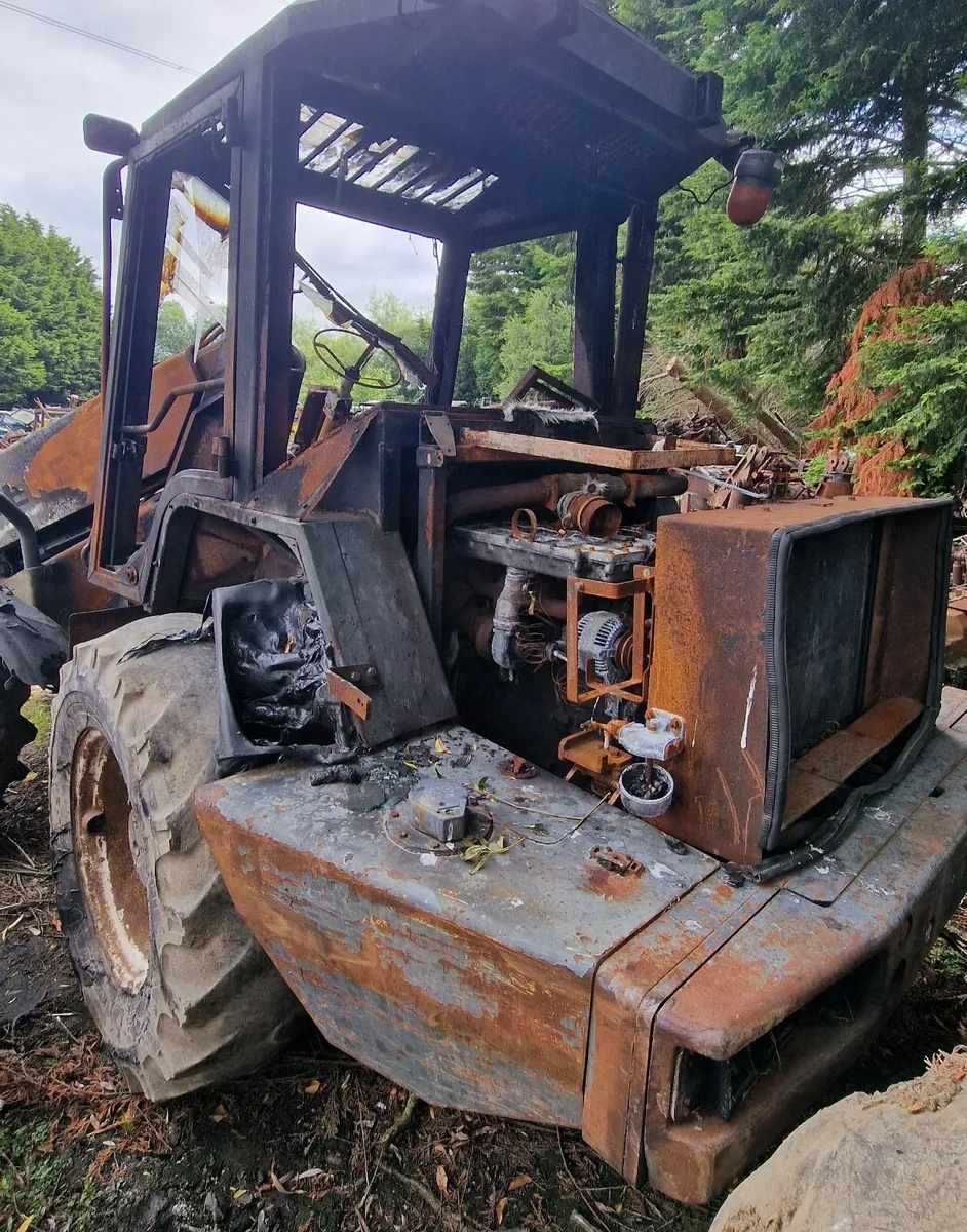 Terex - Image 3