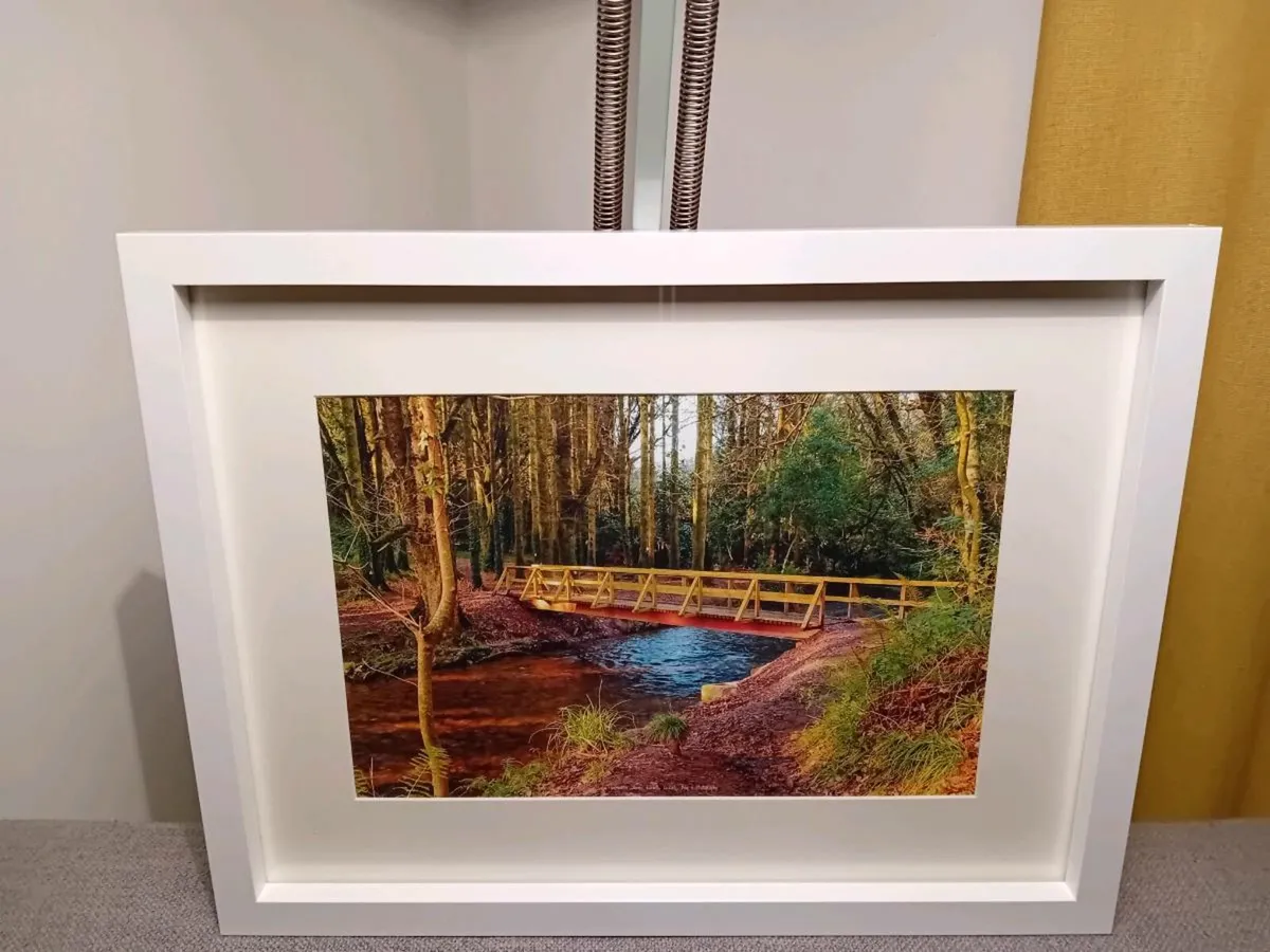Glenbower Woods, Co.Cork - Image 1
