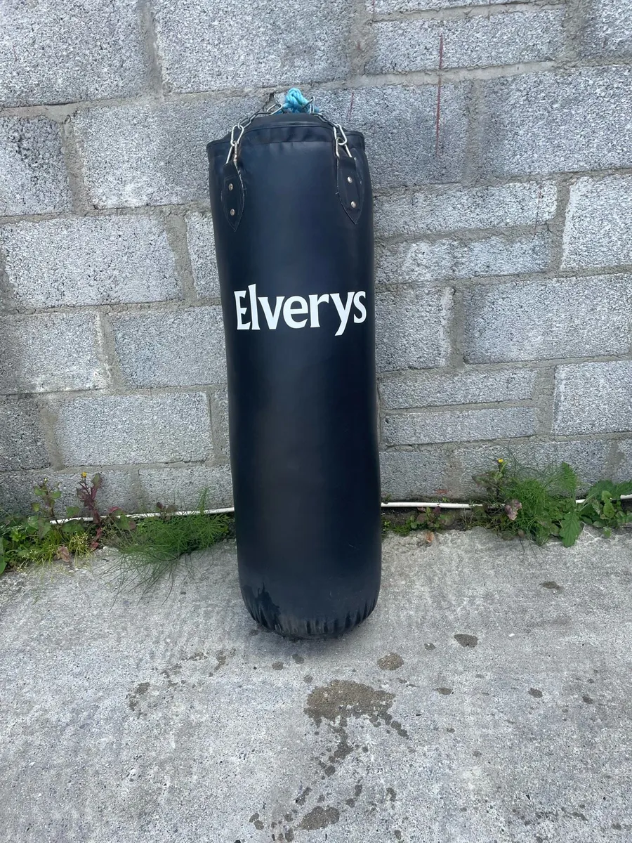 Elverys boxing bag