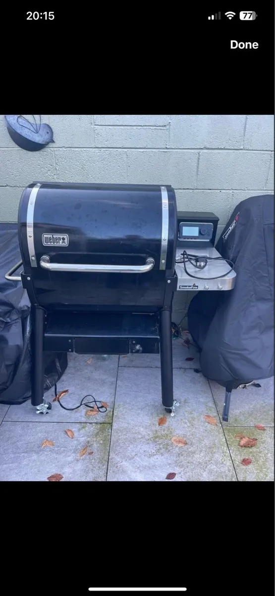 Weber ex4 smoke fire - Image 2