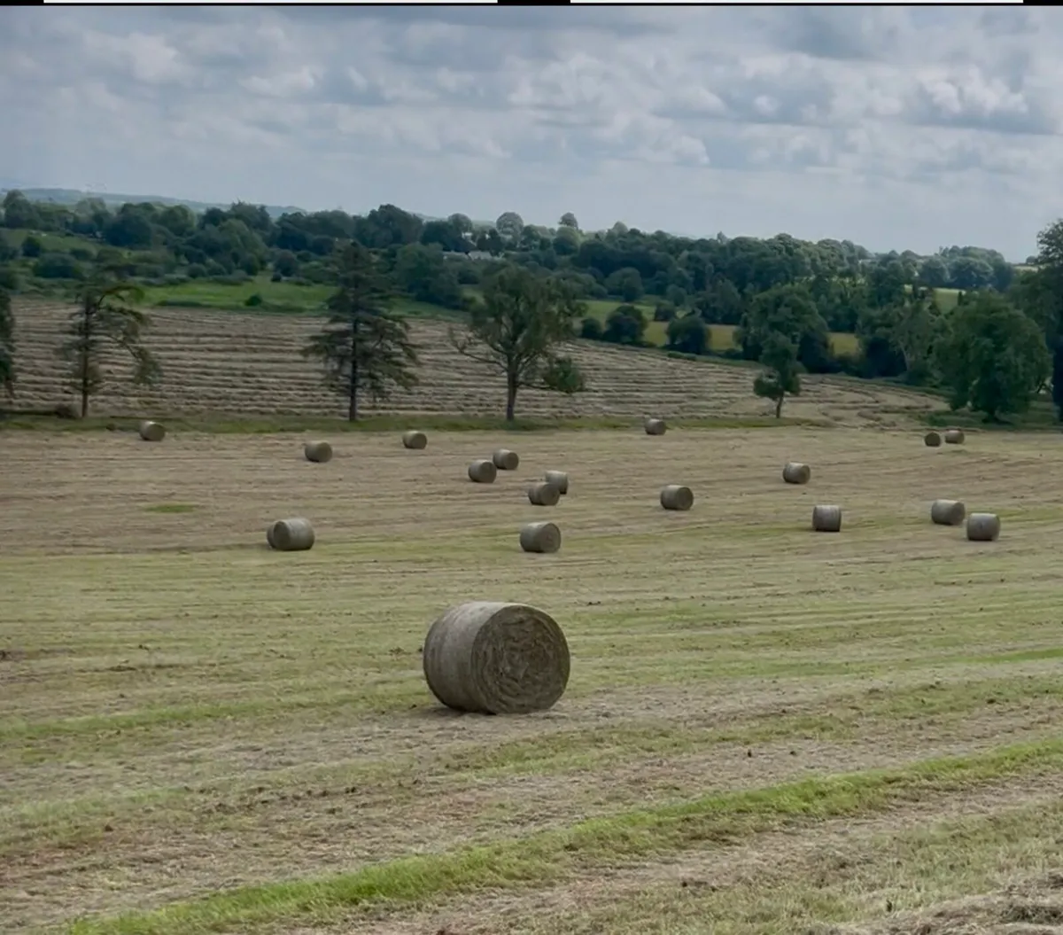 Hay round bales