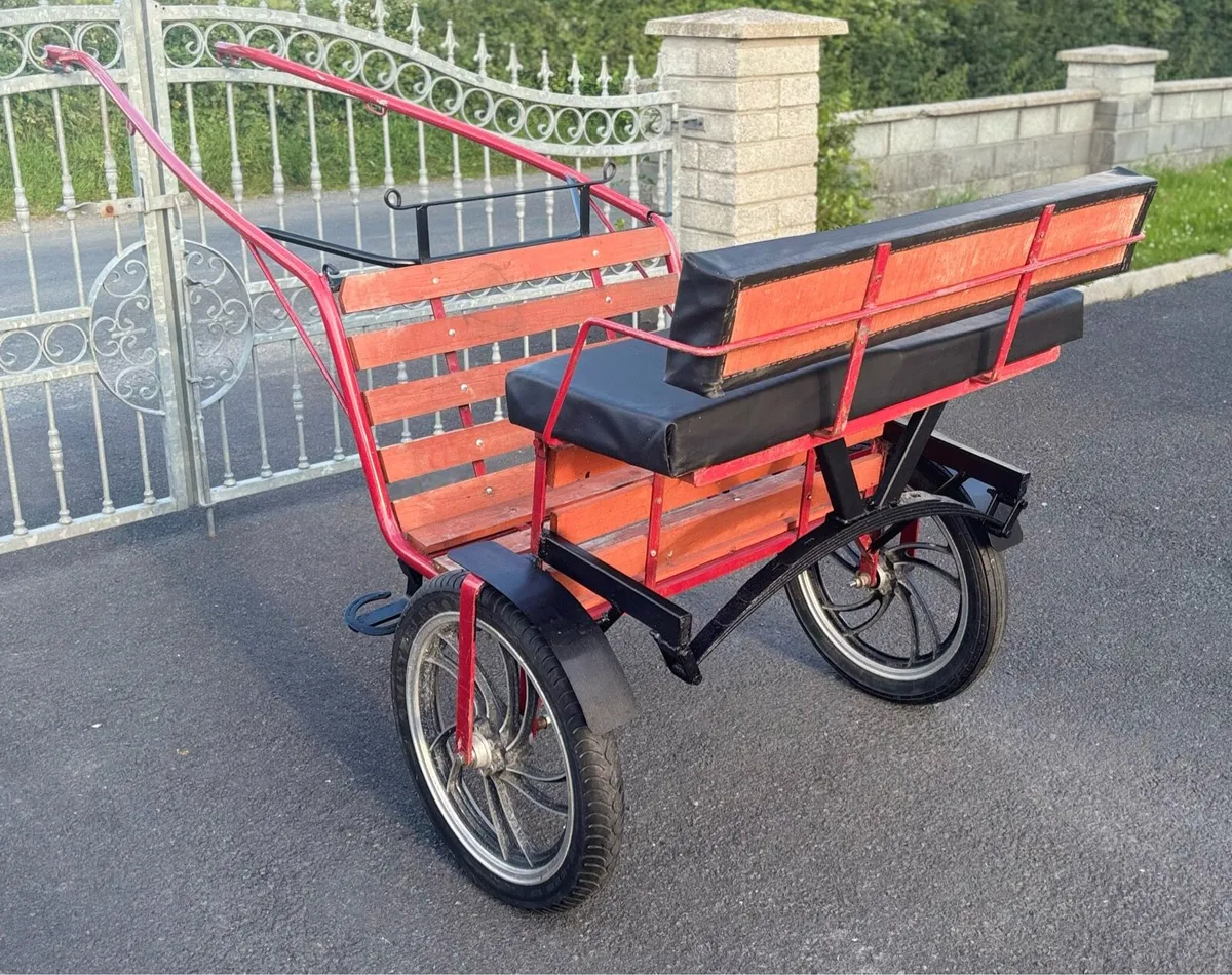 New Duhig road cart with Spring - Image 1