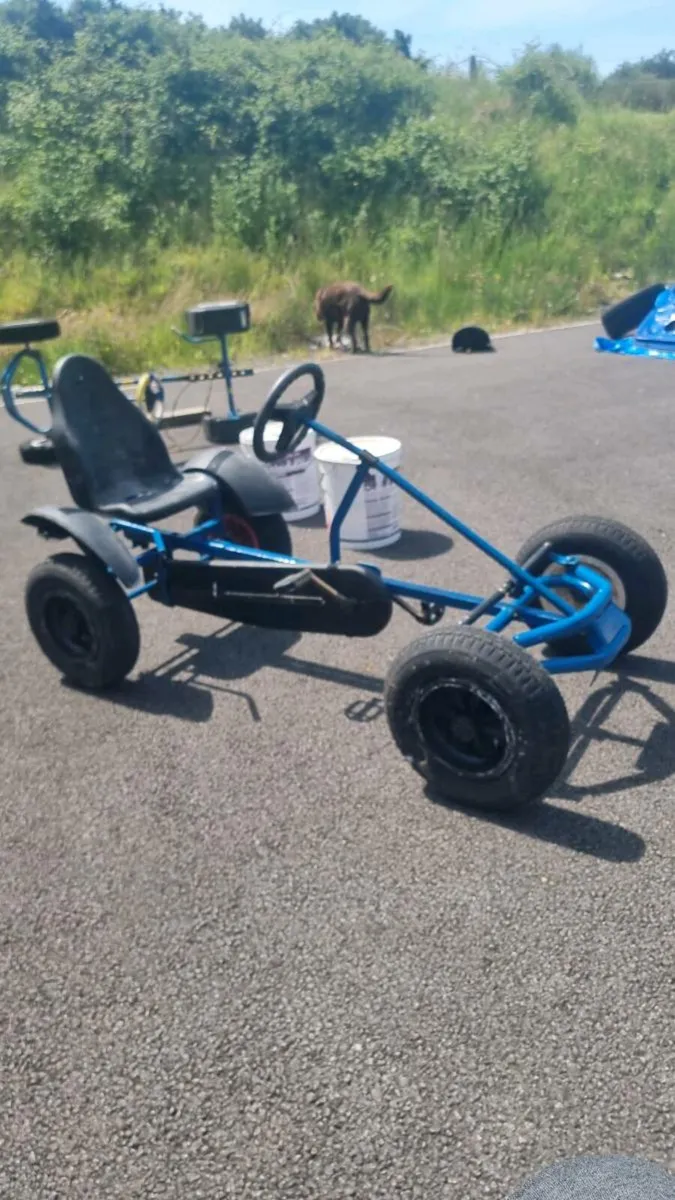 Berg gokart  and dinocar - Image 1