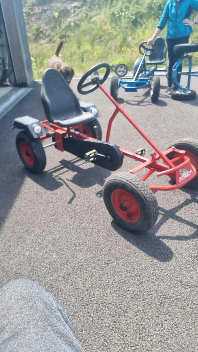 Berg gokart  and dinocar - Image 3