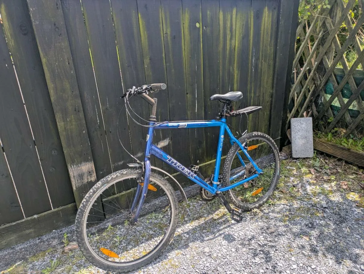 Trek Large Bike - Image 1