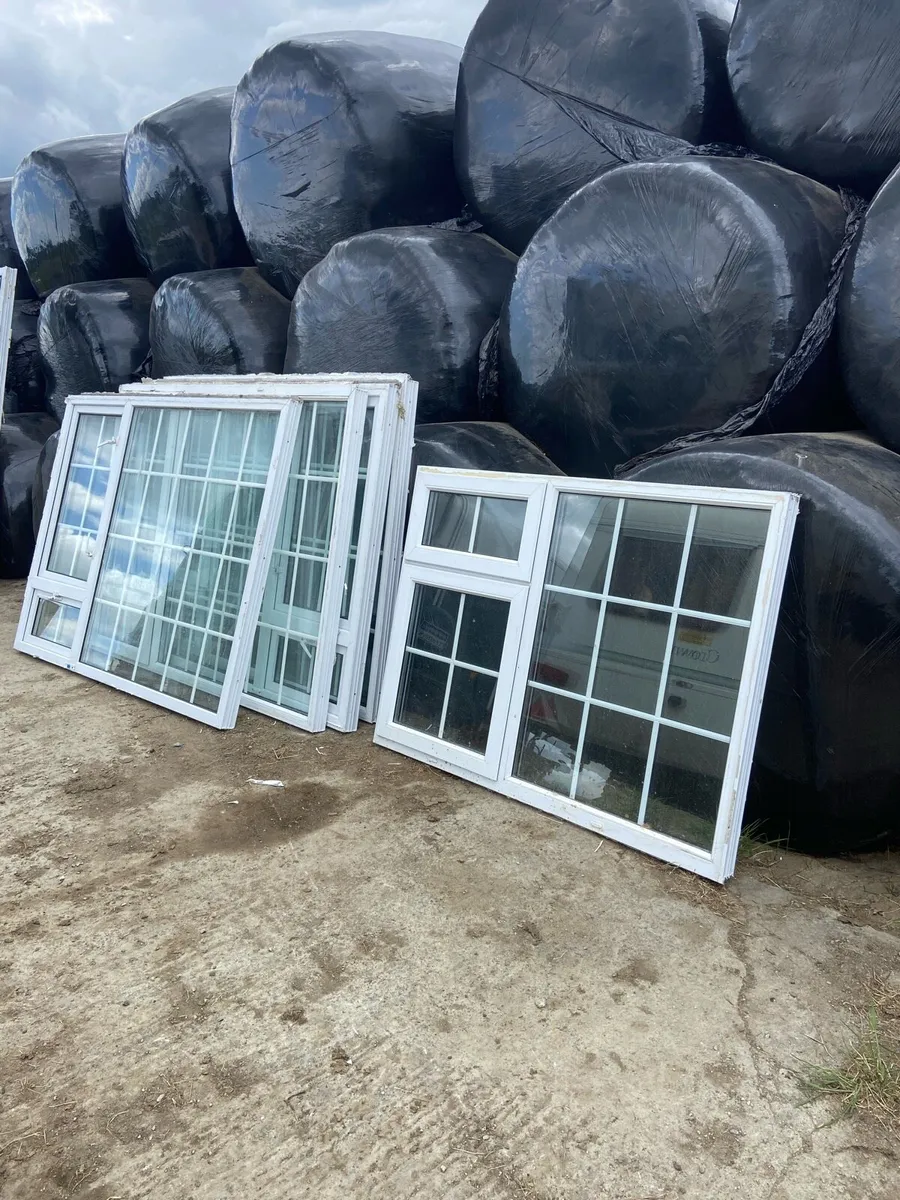 House windows and door - Image 1