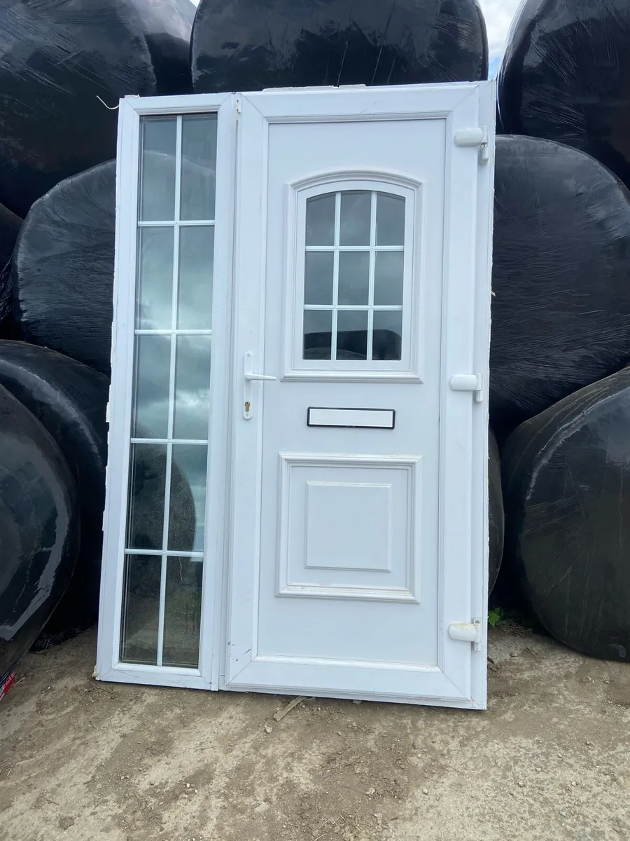 House windows and door - Image 4