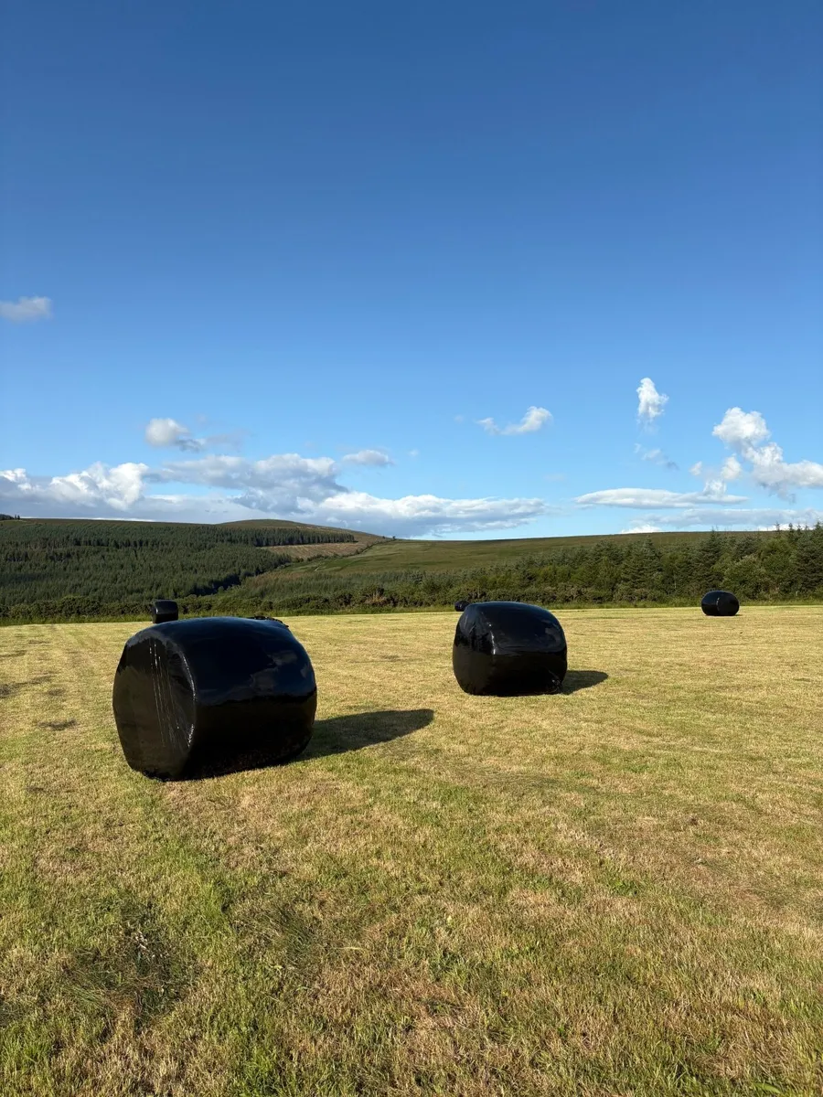 Silage